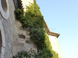 Castillo de Moratalla 2015